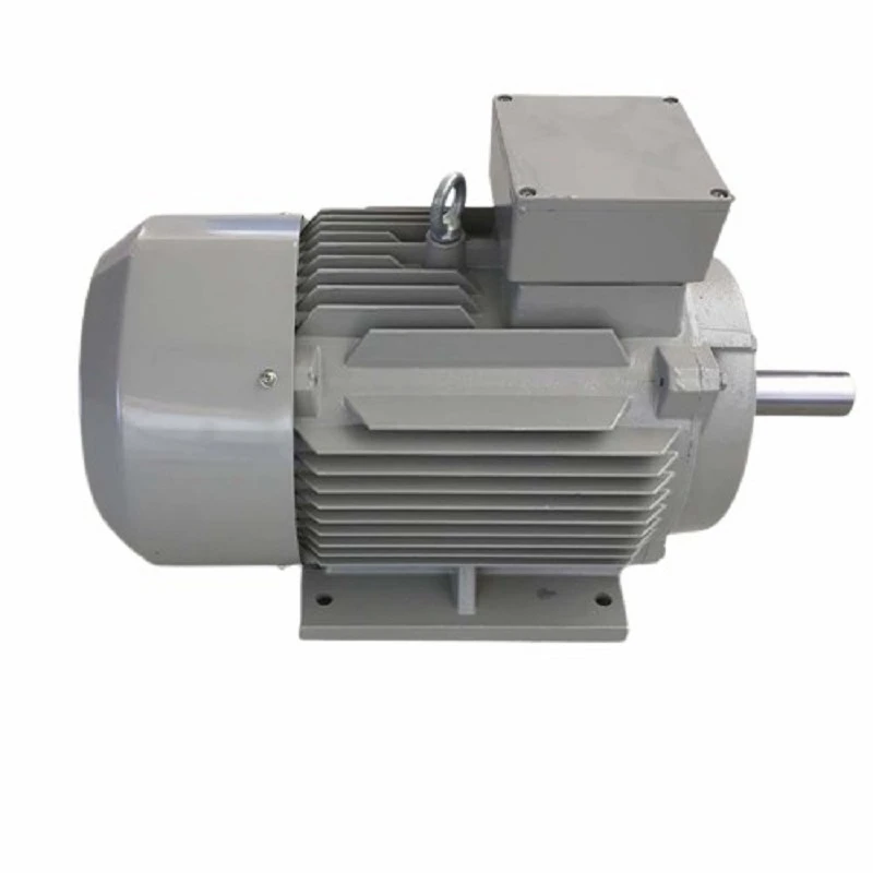 IE4 Electric Motor