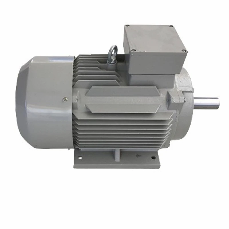 Three Phase Cast Iron Motor IE4